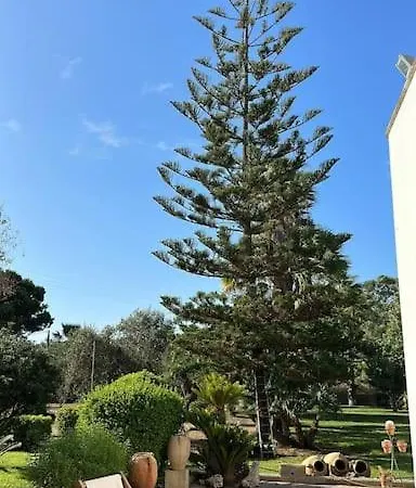 La Casa Del Pittore