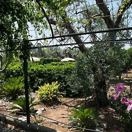 Apartment La Casa Del Pittore